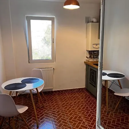 Garsoniera Flamingo Garii 4 * בראשוב