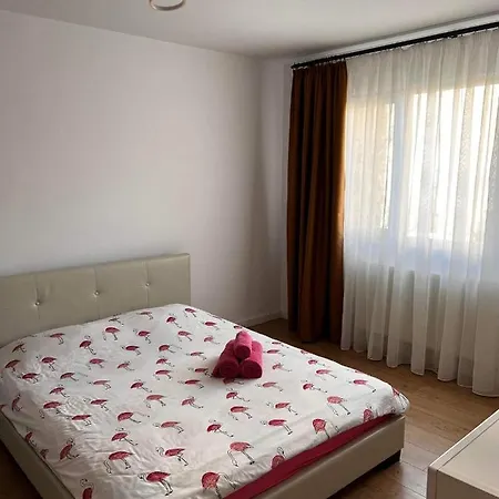 Apartment Garsoniera Flamingo Garii 4 Brașov