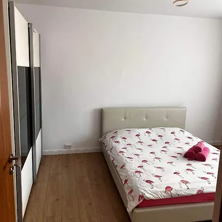 Garsoniera Flamingo Garii 4 Брашов