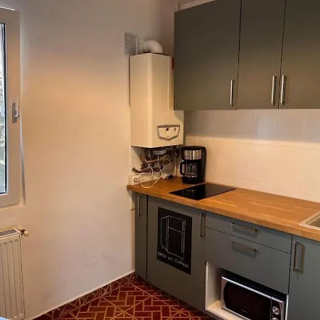 Апартаменты Garsoniera Flamingo Garii 4 Брашов