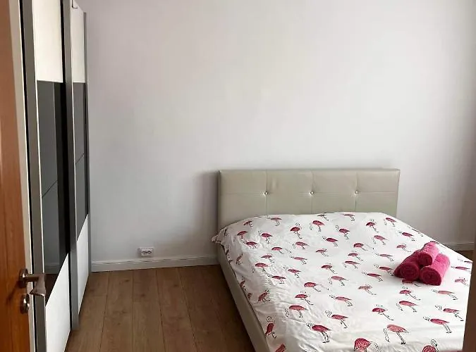 Garsoniera Flamingo Garii 4 布拉索夫