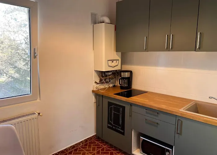 Apartment Garsoniera Flamingo Garii 4 Brașov