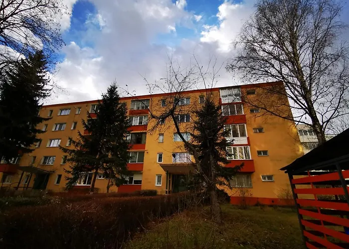 Garsoniera Flamingo Garii 4 * Brașov